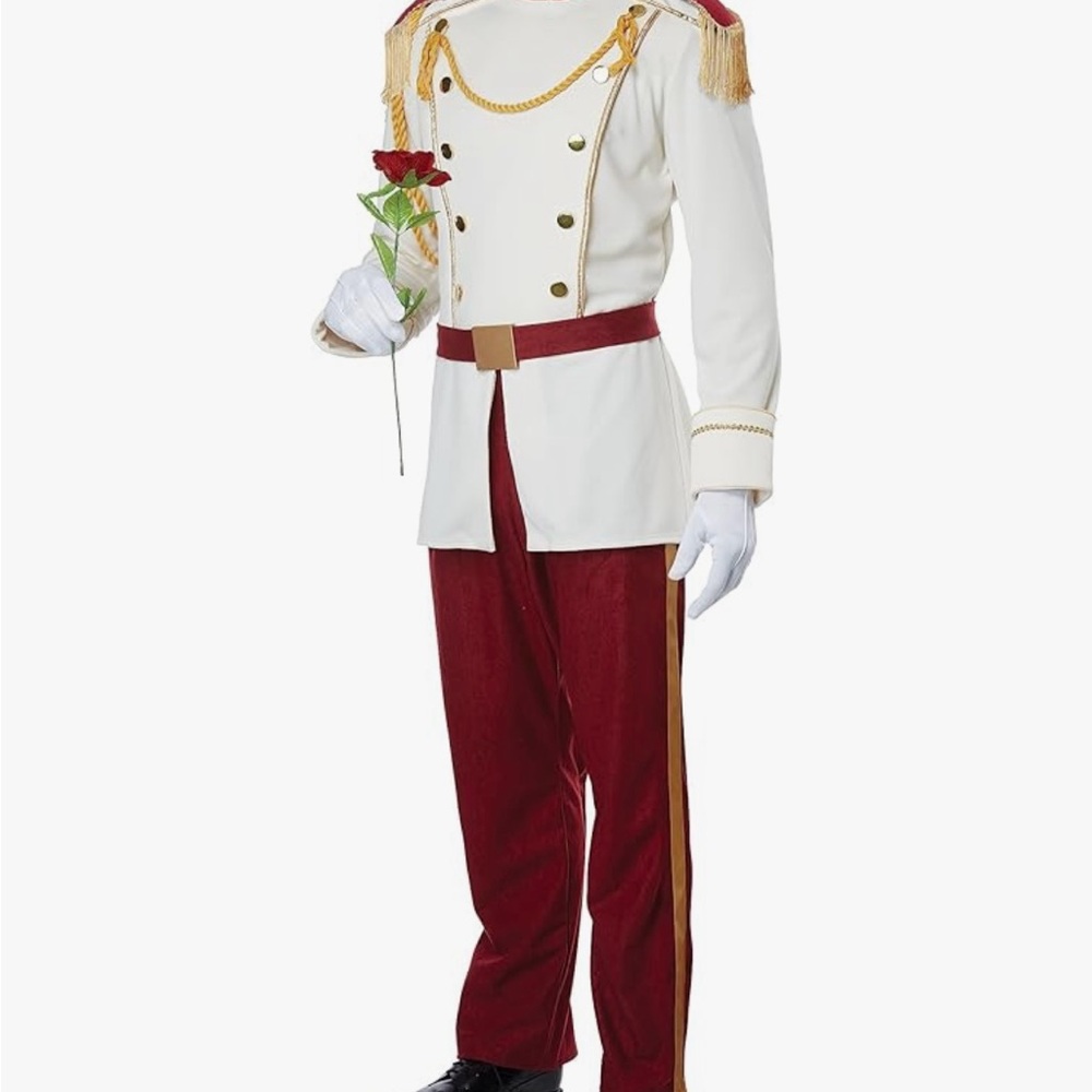 Prince Charming Costume